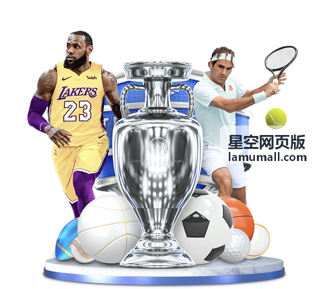 星空网页版私有化部署服务政企单位汇报场景