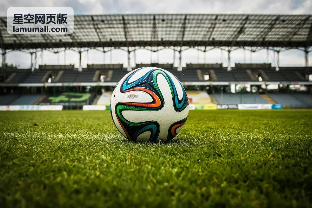 星空网页版在线演示试用场景截图