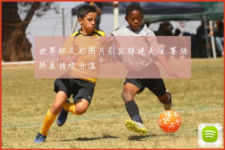 世界杯足彩图片引发球迷关注 赛场热度持续升温