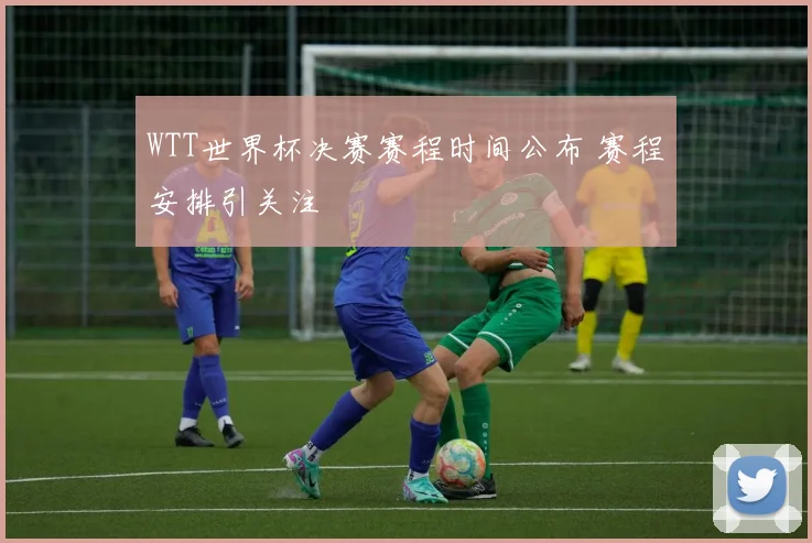 WTT世界杯决赛赛程时间公布 赛程安排引关注
