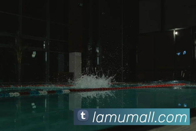 世界杯开户平台平台生态图